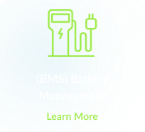 Battery Management System (BMS):